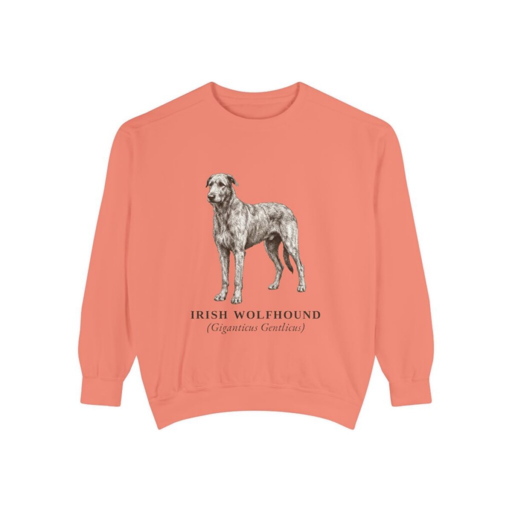irish-wolfhound-sweatshirt-latin-terracotta Irish Wolfhound Latin Sweatshirt, Terracotta, front view