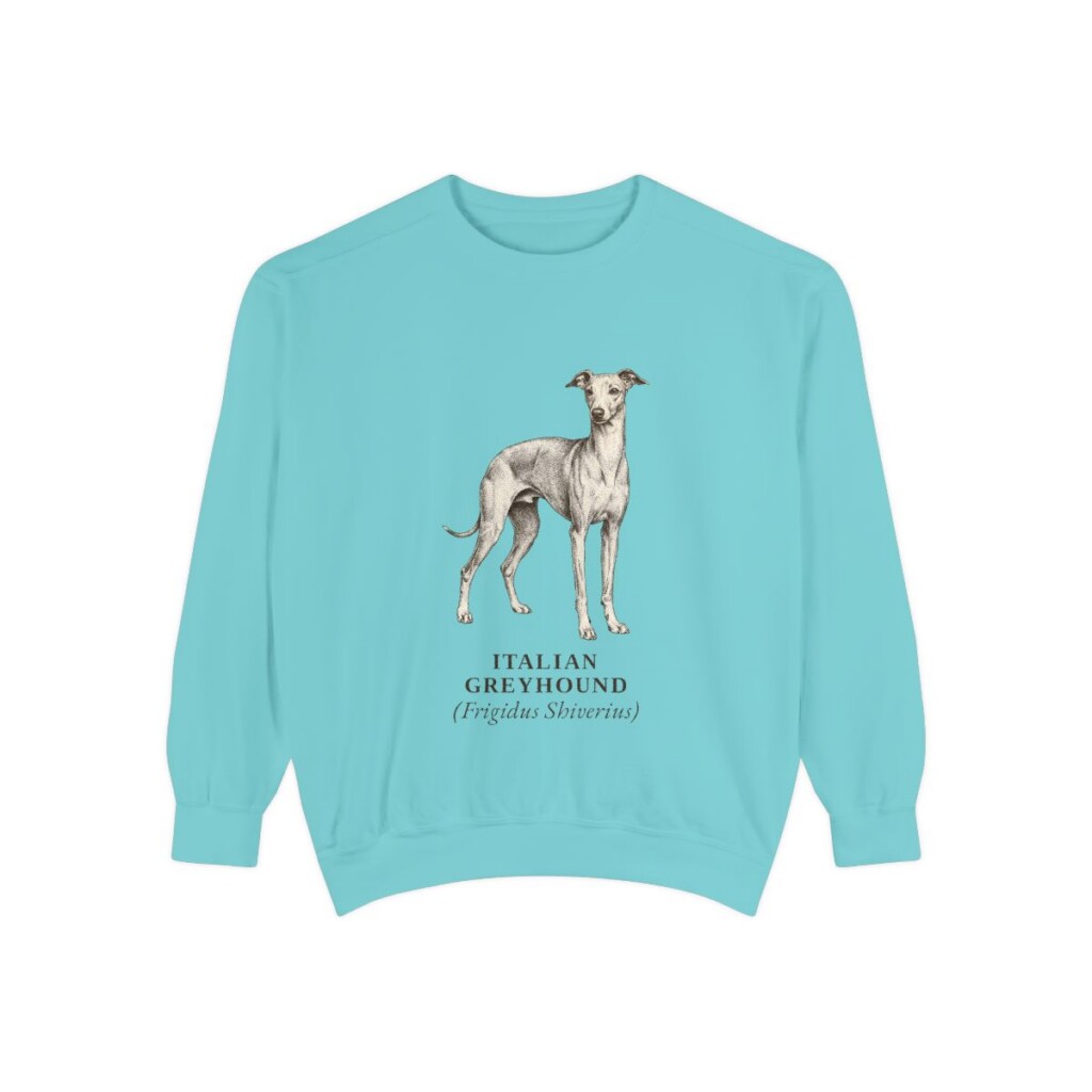 Italian Greyhound Latin Sweatshirt, Chalky Mint, front view
