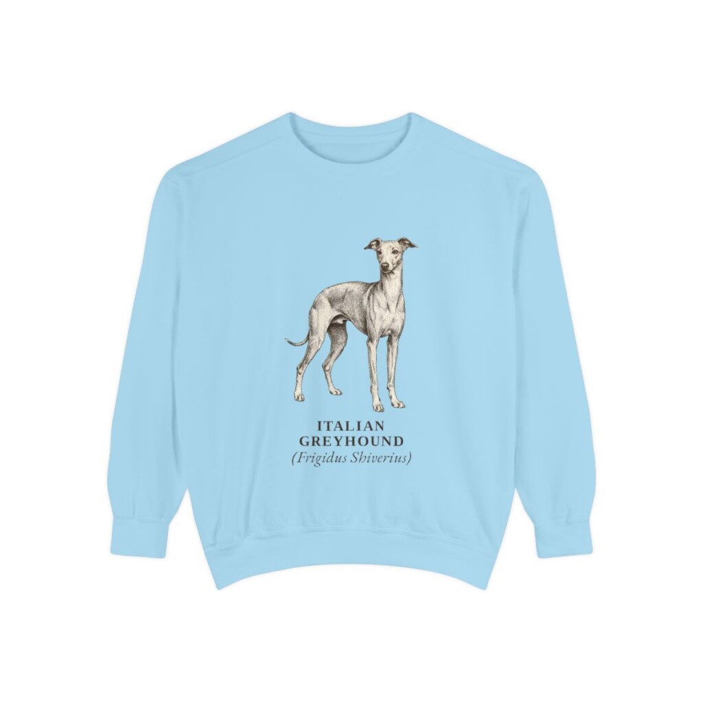 Italian Greyhound Latin Sweatshirt, Chambray, front view