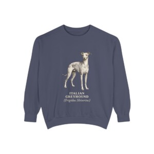 Italian Greyhound Latin Sweatshirt, Denim, front view