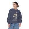 Italian Greyhound Latin Sweatshirt, Denim, person 2 front