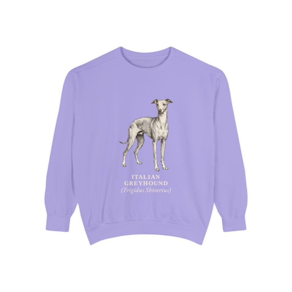 Italian Greyhound Latin Sweatshirt, Violet, front view