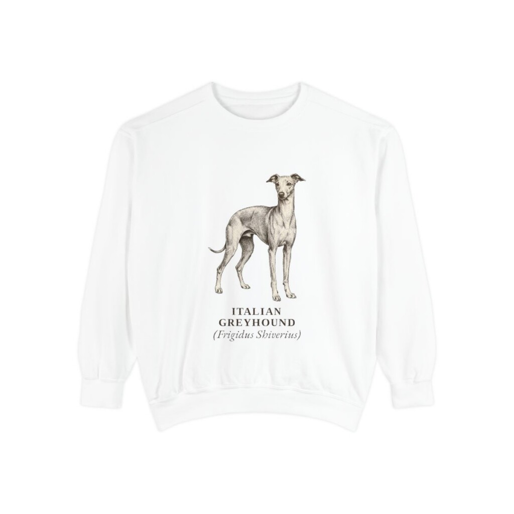 Italian Greyhound Latin Sweatshirt, White, front view