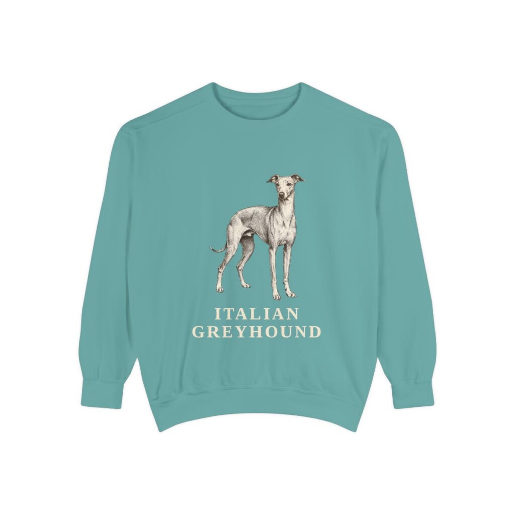 italian-greyhound-sweatshirt-seafoam Italian Greyhound Sweatshirt, Seafoam, front view