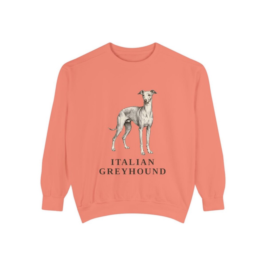 italian-greyhound-sweatshirt-terracotta Italian Greyhound Sweatshirt, Terracotta, front view