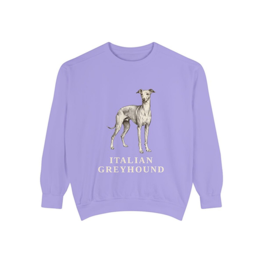 italian-greyhound-sweatshirt-violet Italian Greyhound Sweatshirt, Violet, front view