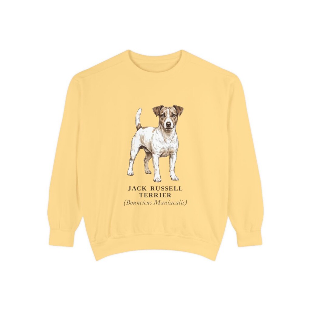 jack-russell-terrier-sweatshirt-latin-butter-1 Jack Russell Terrier Latin Sweatshirt, Butter, front view