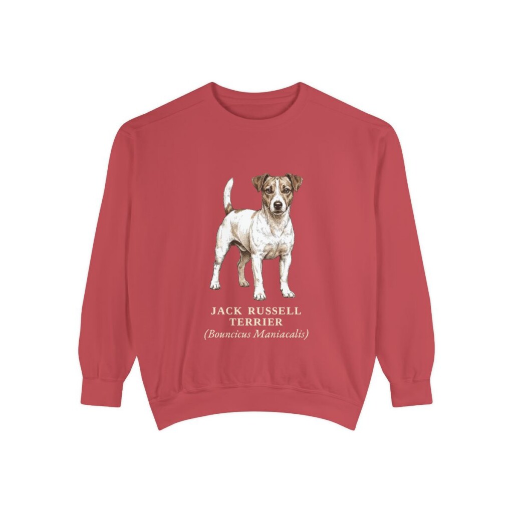 jack-russell-terrier-sweatshirt-latin-crimson-1 Jack Russell Terrier Latin Sweatshirt, Crimson, front view