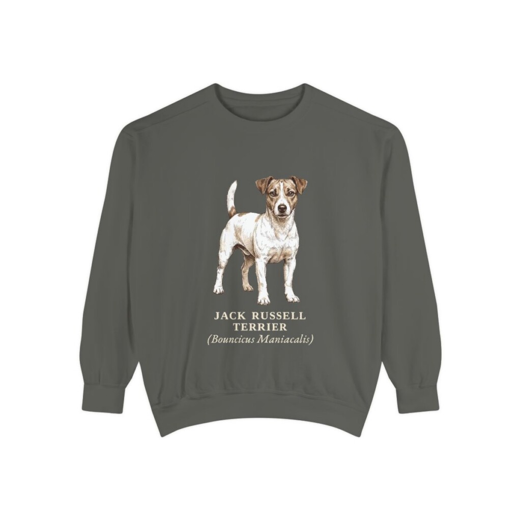 jack-russell-terrier-sweatshirt-latin-pepper-1 Jack Russell Terrier Latin Sweatshirt, Pepper, front view