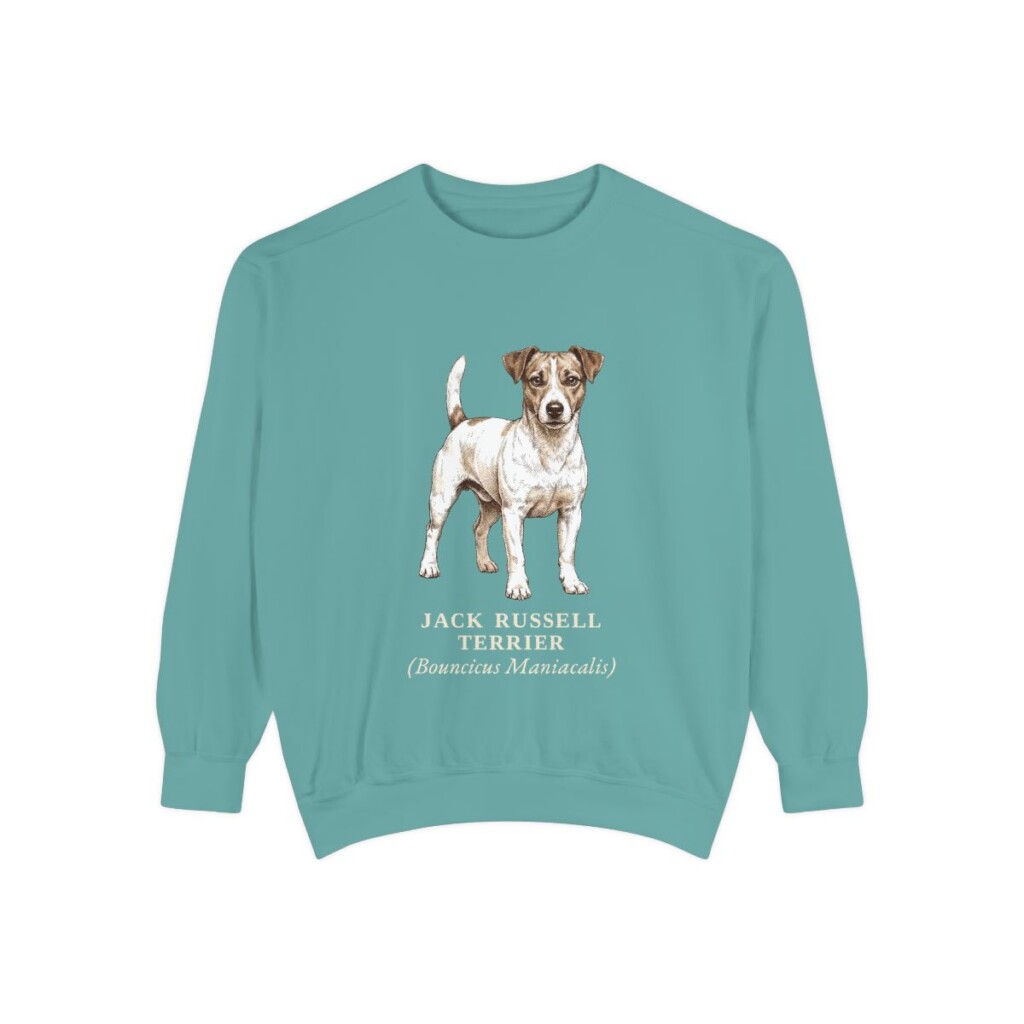 jack-russell-terrier-sweatshirt-latin-seafoam-1 Jack Russell Terrier Latin Sweatshirt, Seafoam, front view