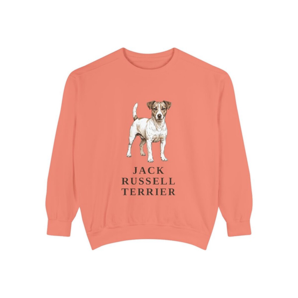 jack-russell-terrier-sweatshirt-terracotta Jack Russell Terrier Sweatshirt, Terracotta, front view