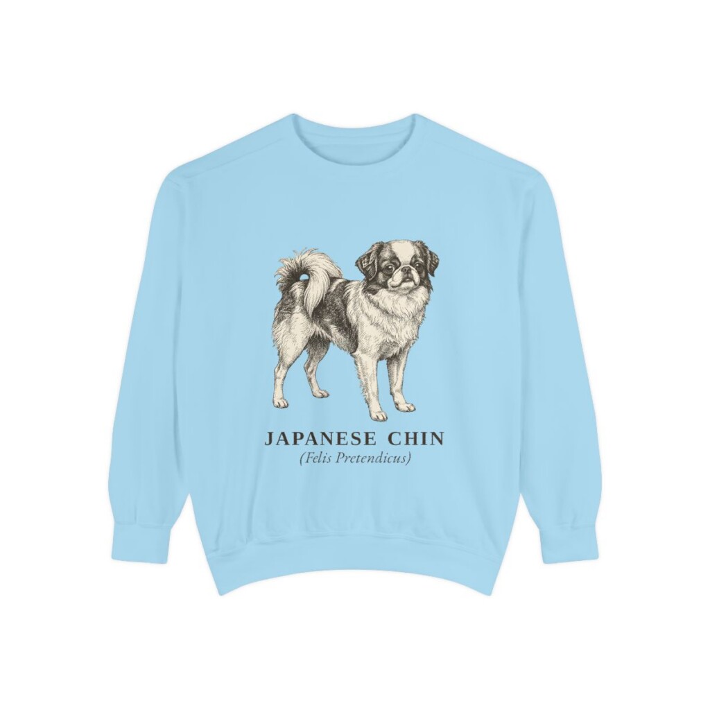 Japanese Chin Latin Sweatshirt, Chambray, front view