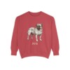 Jug Sweatshirt, Crimson, front view
