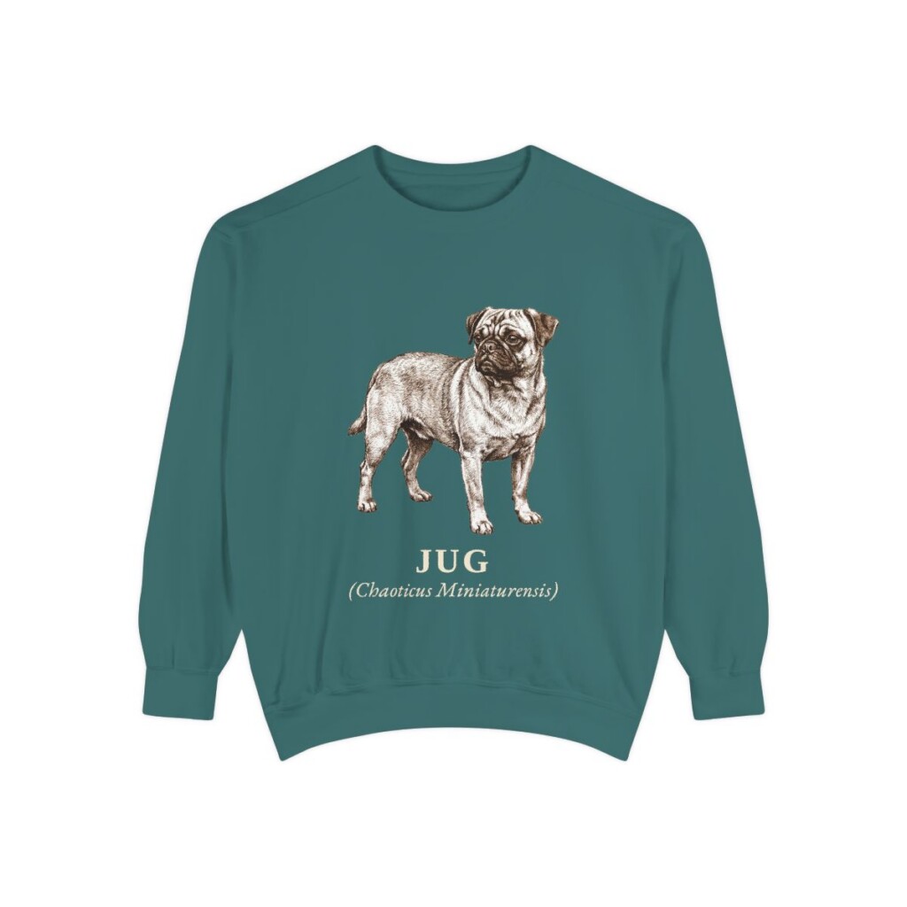 Jug Latin Sweatshirt, Blue Spruce, front view
