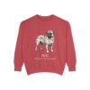 Jug Latin Sweatshirt, Crimson, front view