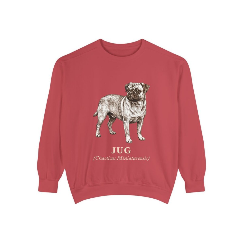 Jug Latin Sweatshirt, Crimson, front view