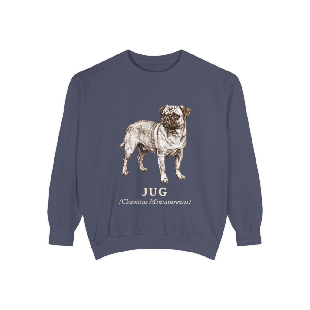Jug Latin Sweatshirt, Denim, front view