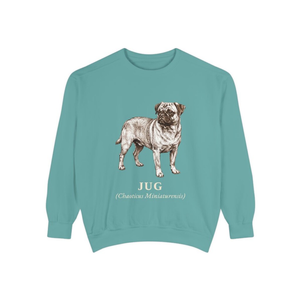 Jug Latin Sweatshirt, Seafoam, front view