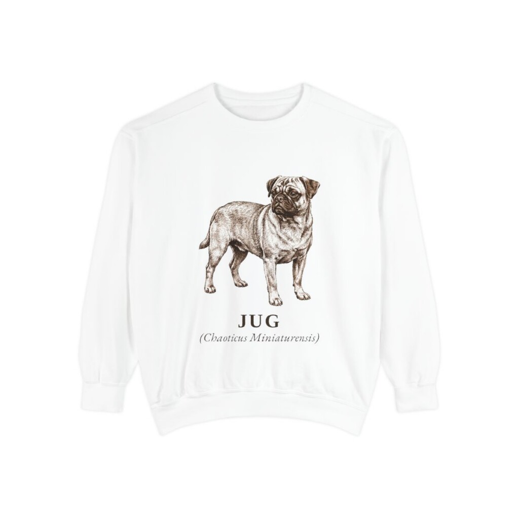 Jug Latin Sweatshirt, White, front view