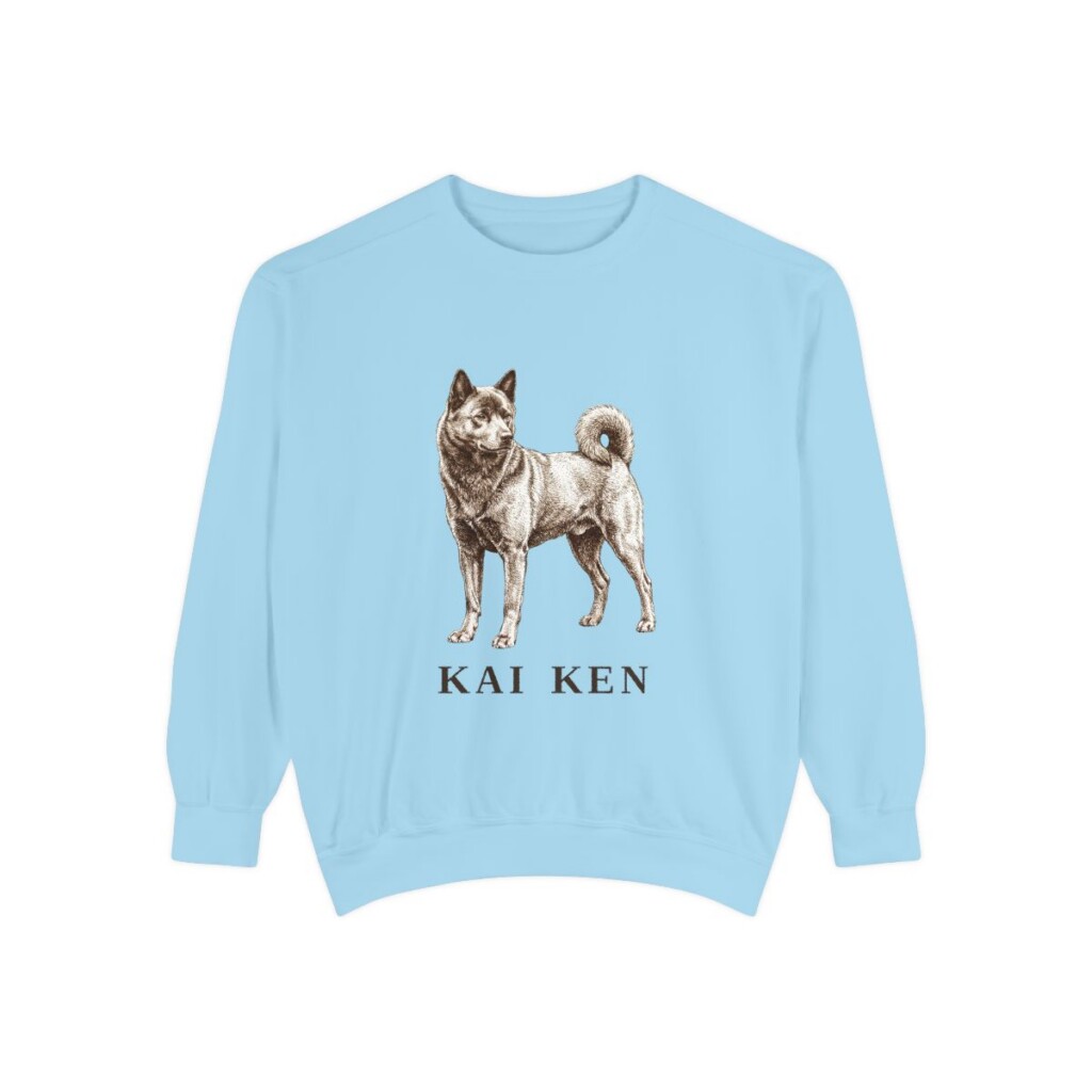 Kai Ken Sweatshirt, Chambray, front view