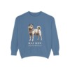 Kai Ken Latin Sweatshirt, Blue Jean, front view