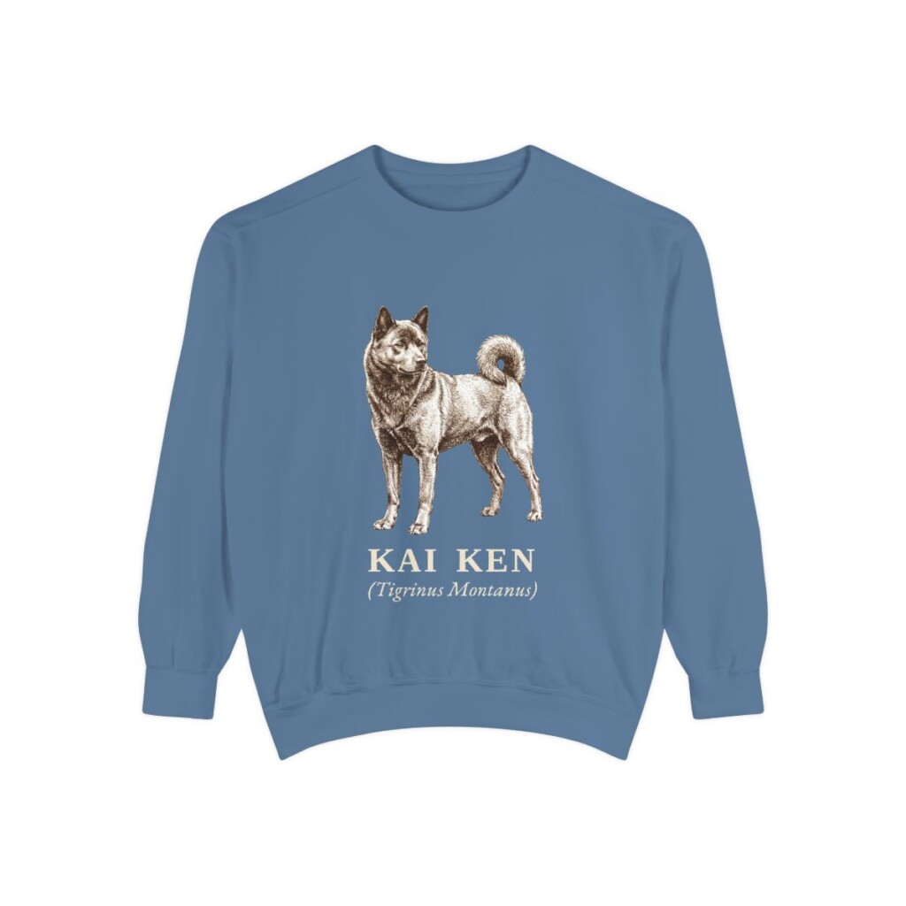 Kai Ken Latin Sweatshirt, Blue Jean, front view