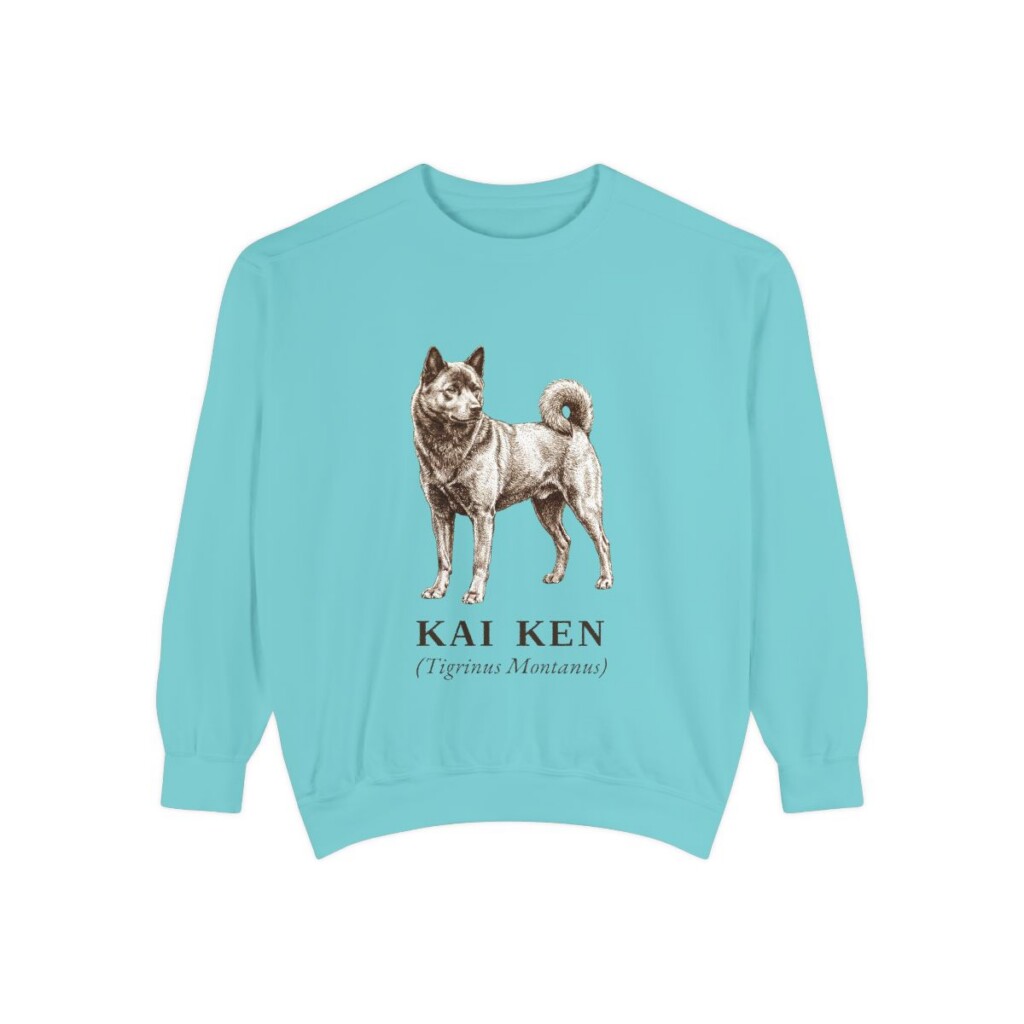 Kai Ken Latin Sweatshirt, Chalky Mint, front view
