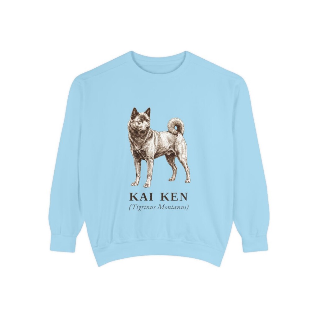 Kai Ken Latin Sweatshirt, Chambray, front view