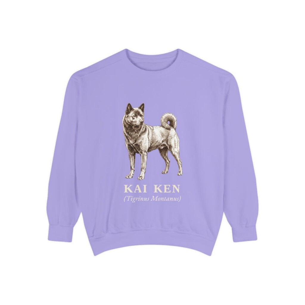 Kai Ken Latin Sweatshirt, Violet, front view