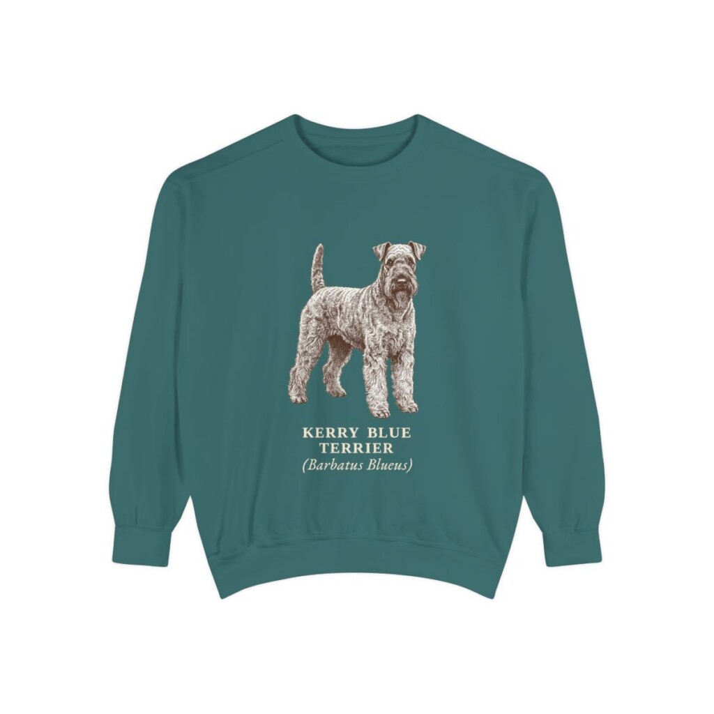 Kerry Blue Terrier Latin Sweatshirt, Blue Spruce, front view