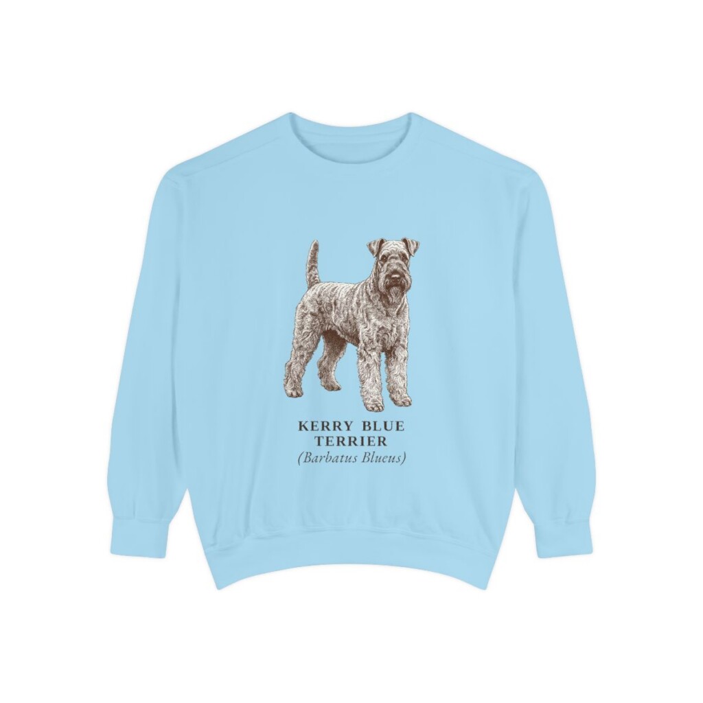 Kerry Blue Terrier Latin Sweatshirt, Chambray, front view
