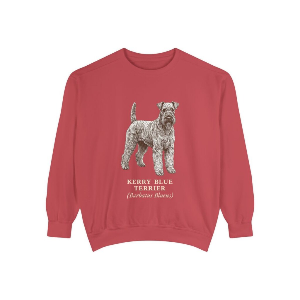 Kerry Blue Terrier Latin Sweatshirt, Crimson, front view