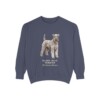 Kerry Blue Terrier Latin Sweatshirt, Denim, front view