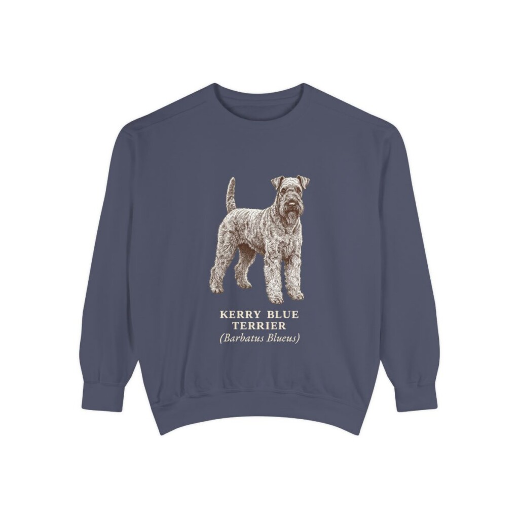 Kerry Blue Terrier Latin Sweatshirt, Denim, front view