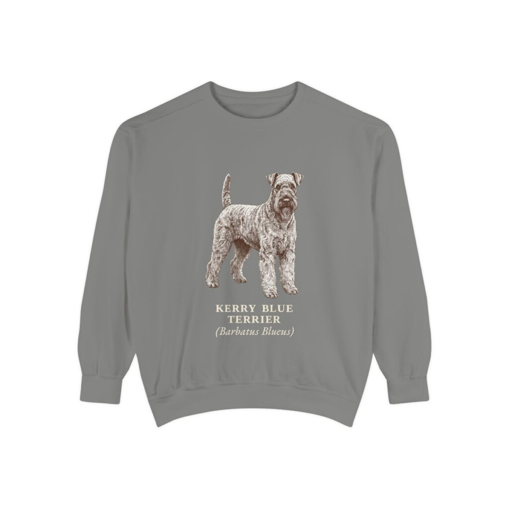 Kerry Blue Terrier Latin Sweatshirt, Grey, front view