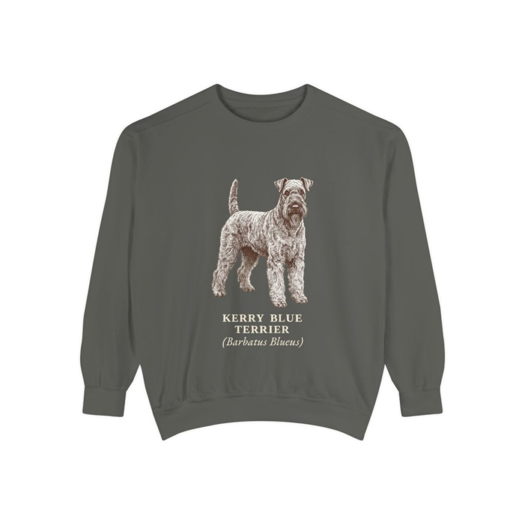 Kerry Blue Terrier Latin Sweatshirt, Pepper, front view