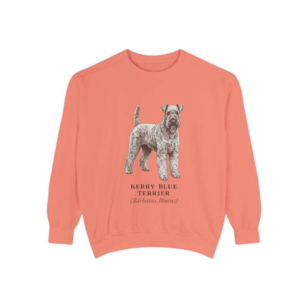 Kerry Blue Terrier Latin Sweatshirt, Terracotta, front view