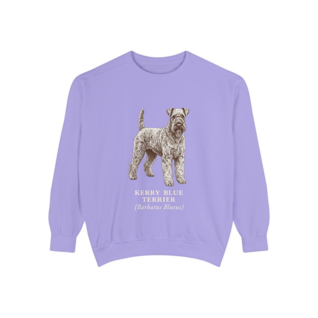 Kerry Blue Terrier Latin Sweatshirt, Violet, front view