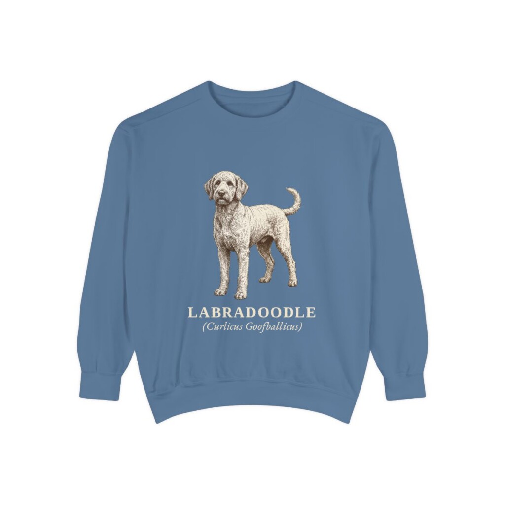 Labradoodle Latin Sweatshirt, Blue Jean, front view