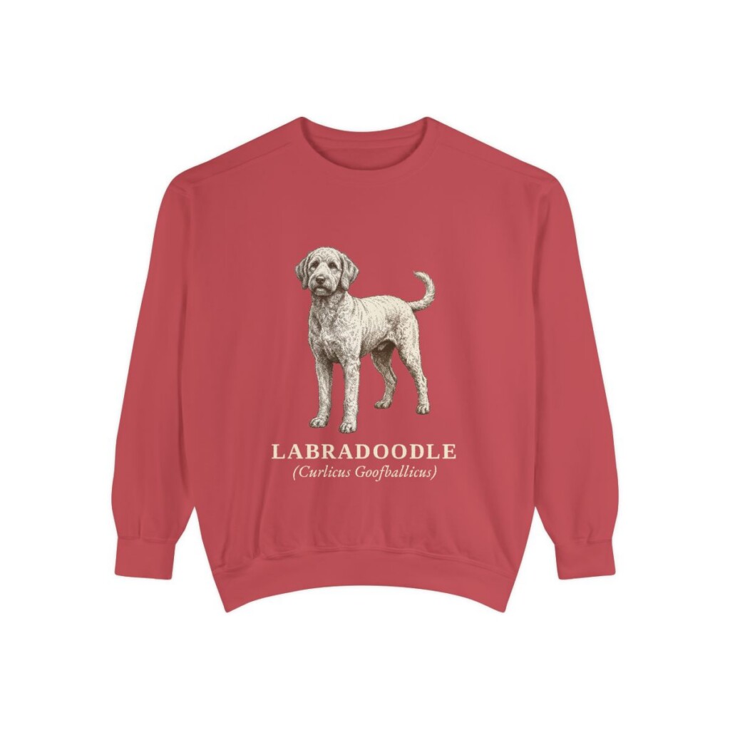 Labradoodle Latin Sweatshirt, Crimson, front view