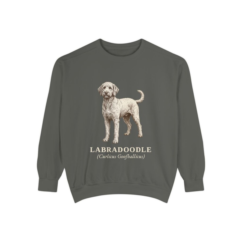 Labradoodle Latin Sweatshirt, Pepper, front view