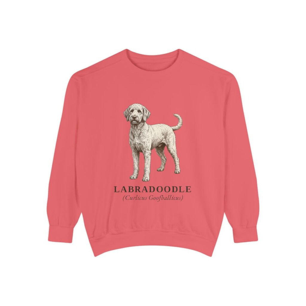 Labradoodle Latin Sweatshirt, Watermelon, front view
