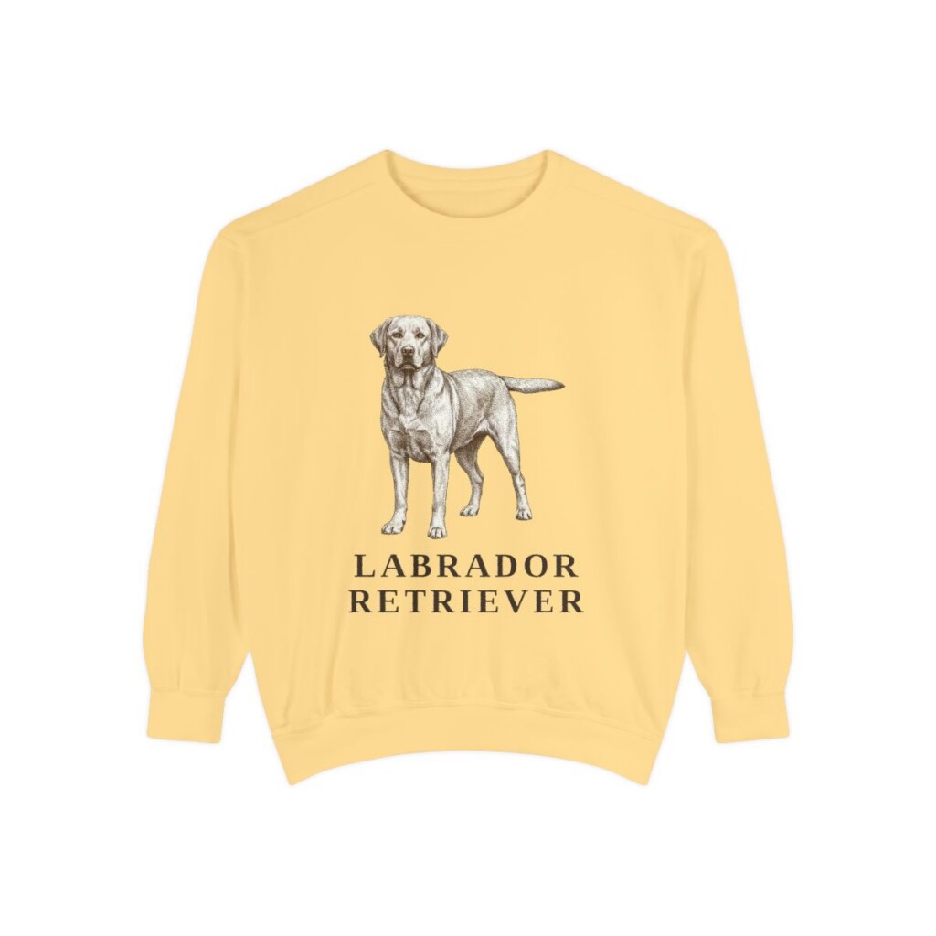 Labrador Retriever Sweatshirt, Butter, front view