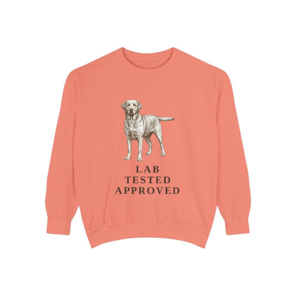Labrador Retriever Humor Sweatshirt, Terracotta, front view