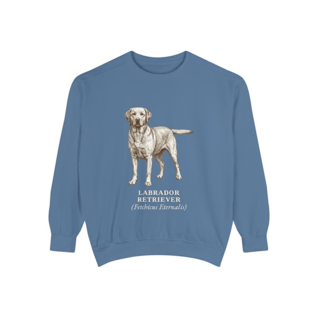 Labrador Retriever Latin Sweatshirt, Blue Jean, front view
