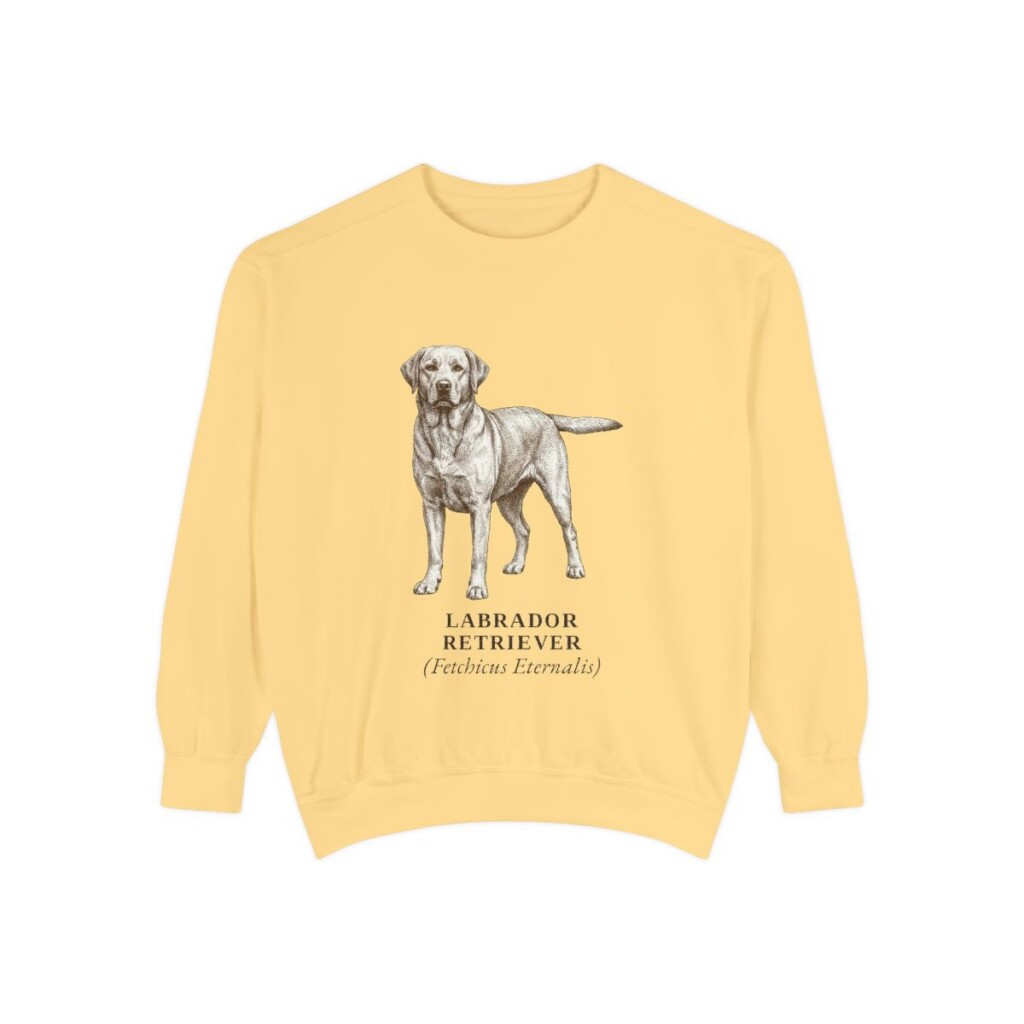 Labrador Retriever Latin Sweatshirt, Butter, front view