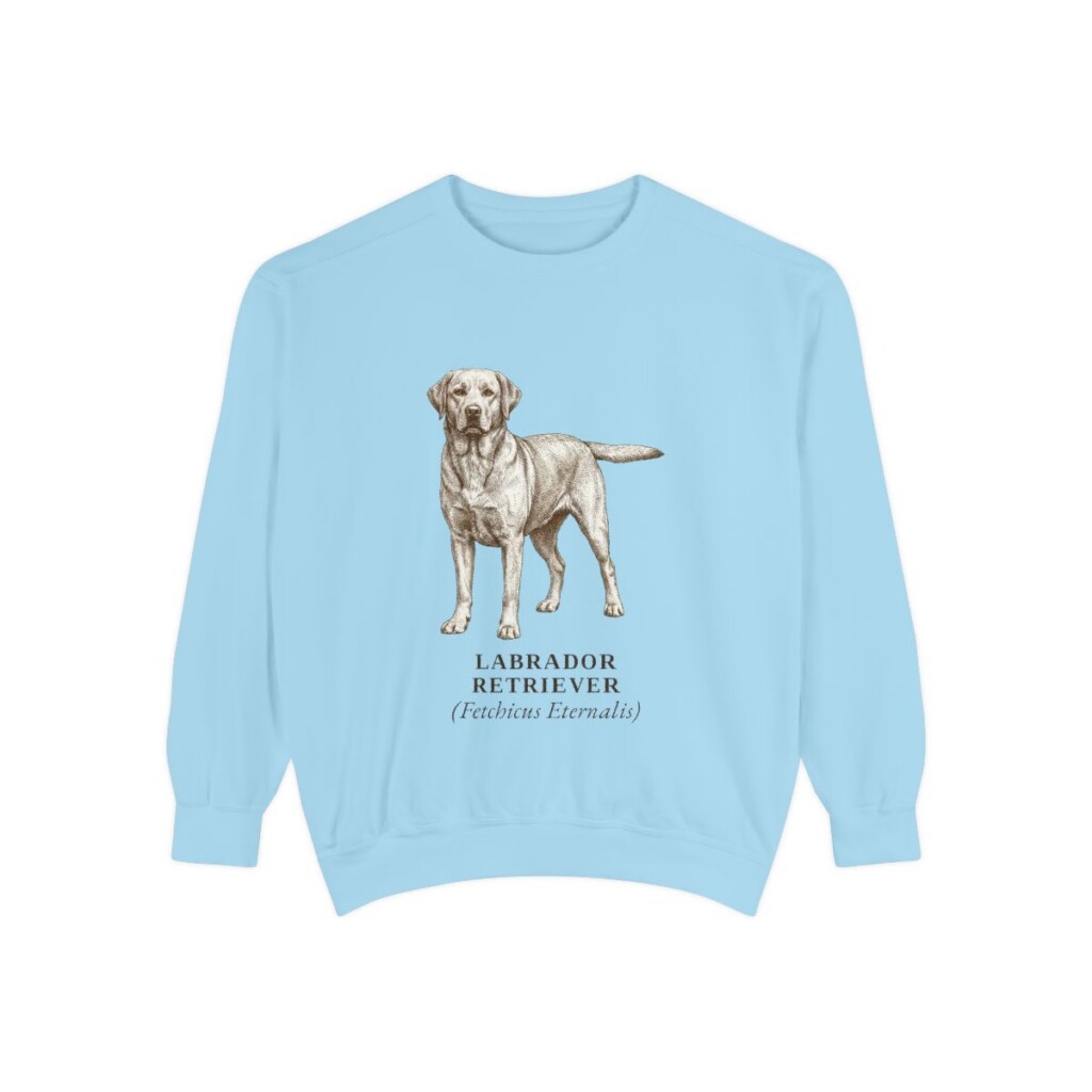 Labrador Retriever Latin Sweatshirt, Chambray, front view