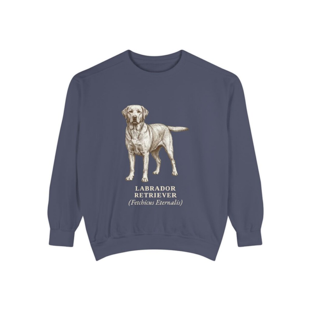 Labrador Retriever Latin Sweatshirt, Denim, front view