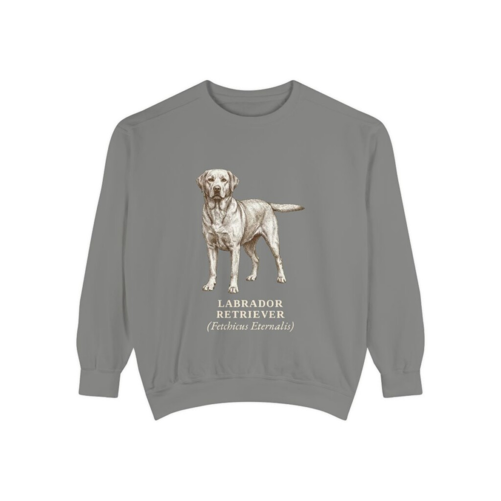 Labrador Retriever Latin Sweatshirt, Grey, front view
