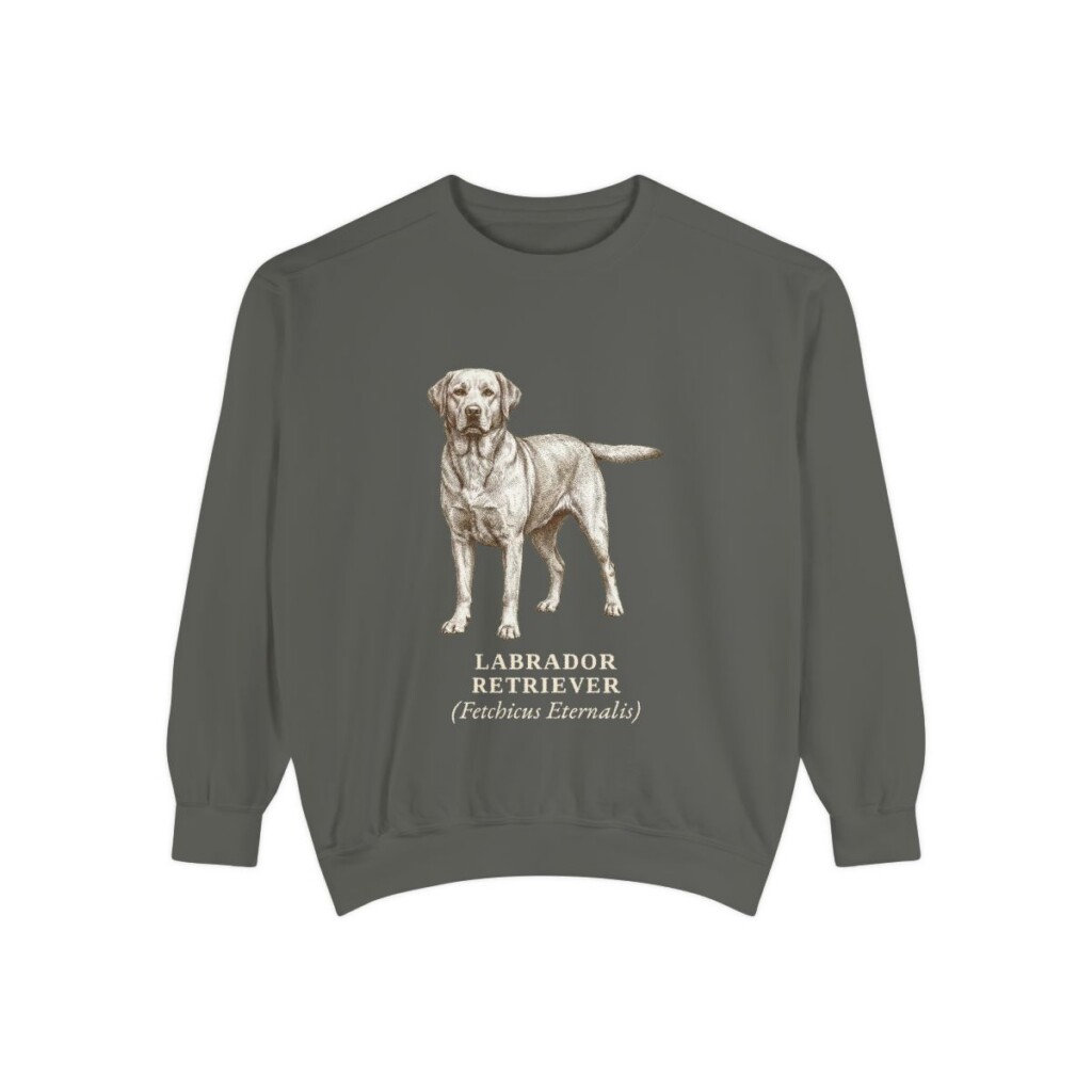 Labrador Retriever Latin Sweatshirt, Pepper, front view